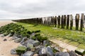 Landscape with traditional wooden pillars at the Dutch coast, province of Zeeland, North Sea on the horizon Royalty Free Stock Photo