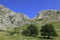 Landscape in Trascau Mountains Royalty Free Stock Photo