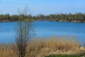 Landscape with tree on the background of picturesque lake with clear blue water. Early spring