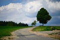 Landscape with tree, bench, road and cloudy sky Royalty Free Stock Photo