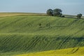 Landscape with a tree in a center .