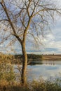 Landscape with a tree from Dibich Dam Royalty Free Stock Photo