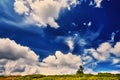 Landscape tree and field of green fresh grass under blue sky Royalty Free Stock Photo