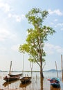 Landscape tree grow in water pond  and blue sky  with mountain back. Fishing boat under the tree in water Royalty Free Stock Photo