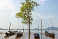 Landscape tree grow in water pond  and blue sky  with mountain back. Fishing boat under the tree in water Royalty Free Stock Photo