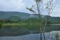 Landscape of tree and reflection on water surface in lake with mountain background Royalty Free Stock Photo