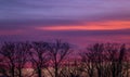 Landscape of tree silhouettes under a cloudy sky during a beautiful pink sunset Royalty Free Stock Photo