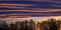 Landscape of tree silhouettes under a cloudy sky during a beautiful sunset in the evening Royalty Free Stock Photo