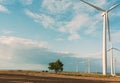 Landscape of a tree in a wind park