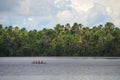 Landscape of the treeline of the Amazon rainforest, from the Amazon river. Iquitos, Peru