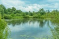 Landscape: trees around the lake, rain falls, reflections on the water Royalty Free Stock Photo