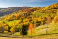 A landscape of trees in autumn colors Royalty Free Stock Photo