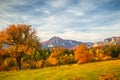 Landscape with a trees in autumn colors. Royalty Free Stock Photo