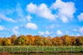 Landscape with trees in the autumn Royalty Free Stock Photo