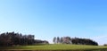 landscape with trees and blue sky