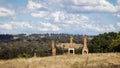 Landscape of trees and cloudy sky with remnant chimneys and fireplaces