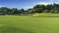 The landscape trees grassland garden