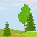 Landscape. Trees on hill