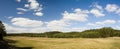 Landscape of trees and meadow Royalty Free Stock Photo