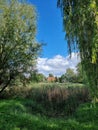 landscape with trees and a overgrown pond, house in the background