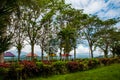 Landscape with trees and pavilions. Sabah tea. Borneo, Malaysia