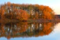 Landscape with trees reflecting in a lake