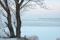 Landscape with trees at snowy shore river