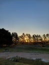 Landscape of trees at sunset