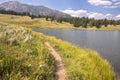 Landscape and trees at Trout Lake in Lamar Valley in Yellowstone National Park Royalty Free Stock Photo