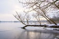 Landscape with trees in winter at a lake near Magdeburg in Germany Royalty Free Stock Photo