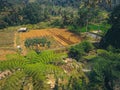 Landscape of tropical country Indonesia, field with many tree and river