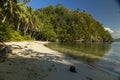 Landscape of tropical coconut palms, Togian Islands, Indonesia Royalty Free Stock Photo