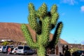 Landscape in Tropical Volcanic Canary Islands Spain