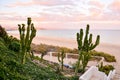 Landscape in Tropical Volcanic Canary Islands Spain Royalty Free Stock Photo