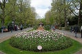 Landscape of tulips in decorated garden beds at Berlin Zoo in Mitte Berlin