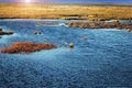 Landscape of tundra