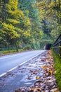 Landscape of tunnel through cliff with autumn trees around and smooth road Royalty Free Stock Photo