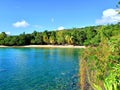 Landscape of turquoise waters and idyllic Caribbean beach. Caribbean sea of French Antilles under tropical blue sky. Palm trees, Royalty Free Stock Photo