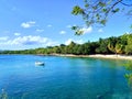 Landscape of turquoise waters and idyllic Caribbean beach. Caribbean sea of French Antilles under tropical blue sky. Palm trees, Royalty Free Stock Photo