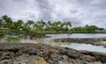 Landscape with turtles in Richardon ocean park