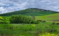 Landscape of Tuscany around Pienza Royalty Free Stock Photo