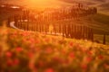 Landscape in Tuscany, near the Siana and Pienza, Sunrise morning in Italy. Idyllic view on hilly meadow in Tuscany in beautiful Royalty Free Stock Photo