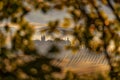 Landscape in Tuscany, near the Siana and Pienza, Sunrise morning in Italy. Idyllic view on hilly meadow in Tuscany in beautiful Royalty Free Stock Photo