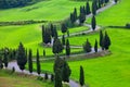 Landscape of Tuscany with twisting road and cypresses Royalty Free Stock Photo