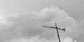 tv antenna and birds flying over the cloudy sky Royalty Free Stock Photo