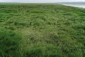 Landscape: Twilight in the grassland pastures wide ground