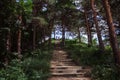 Staiway to the montain with two men