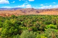 Landscape of a typical moroccan berber village with oasis in the Royalty Free Stock Photo