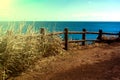 Landscape of Udo island in Jeju Island, South Korea