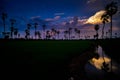 Landscape under scenic colorful sky at sunset over rice field and sugar palm trees. Rice fields and palm trees at sunset in Pathum Royalty Free Stock Photo